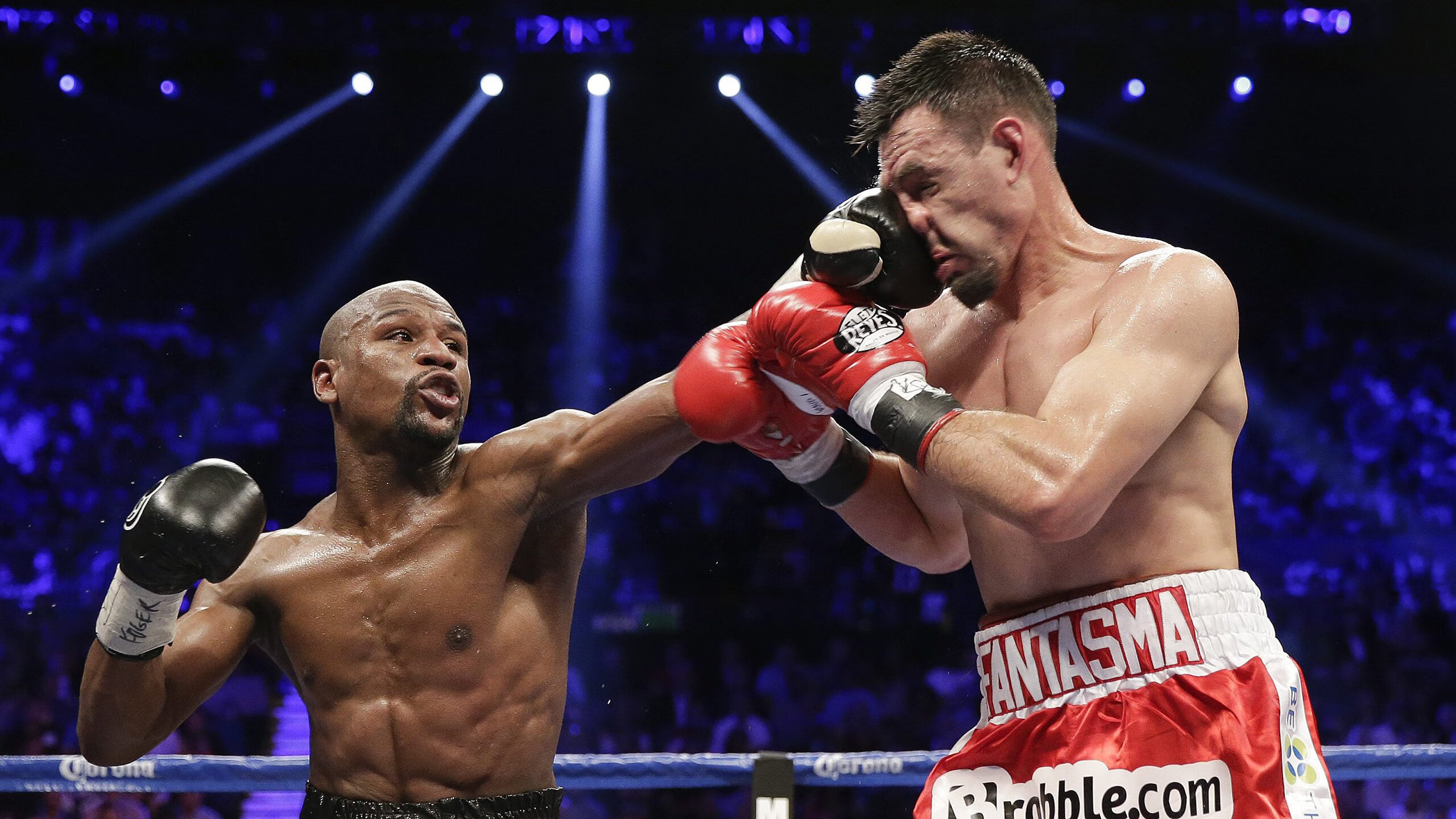 湖人队誓夺季后赛门票,再创佳绩,湖人晋级季后赛回放